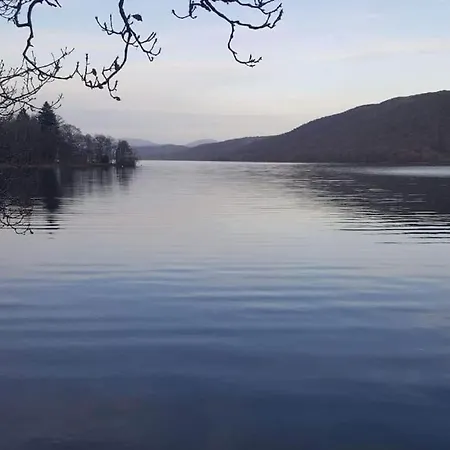 Two Acres- Spacious, Delightful, Pet Free