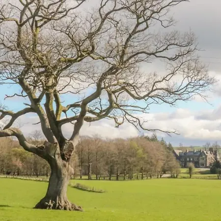 Two Acres- Spacious, Delightful, Pet Free Prázdninový dům Levens